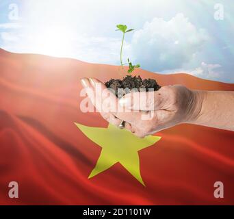 La croissance et le nouveau départ au Vietnam. Concept écologique d'énergie renouvelable et d'écologie. Main tenant jeune plante. Banque D'Images