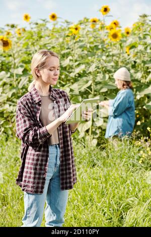 Jeune agriculteur sérieux en vêtements de travail utilisant la tablette numérique contre le tournesol champ Banque D'Images