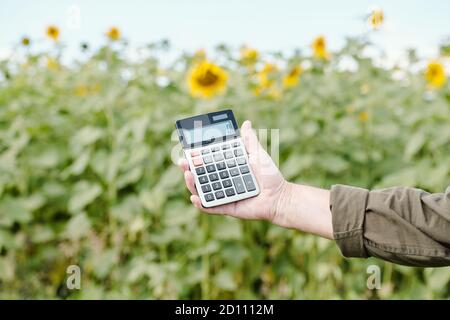 Mains d'un agriculteur de sexe masculin en vêtements de travail tenant la calculatrice avec zéro à l'écran Banque D'Images
