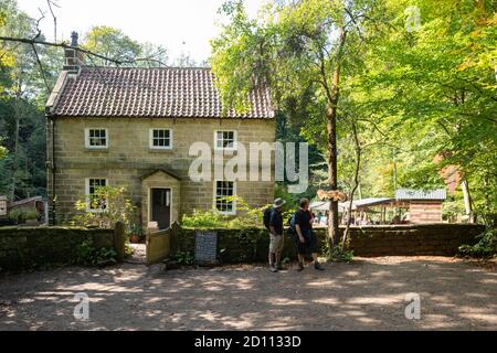 Falling Foss Tea Garden, Little Beck Wood, Littlebeck, Nr Whitby, North Yorkshire, Angleterre, Royaume-Uni Banque D'Images