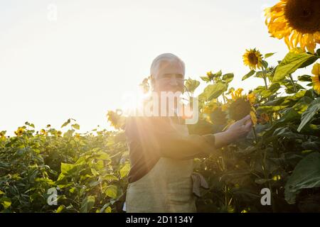 Joyeux fermier senior en vêtements de travail vous regardant pendant choix du tournesol Banque D'Images