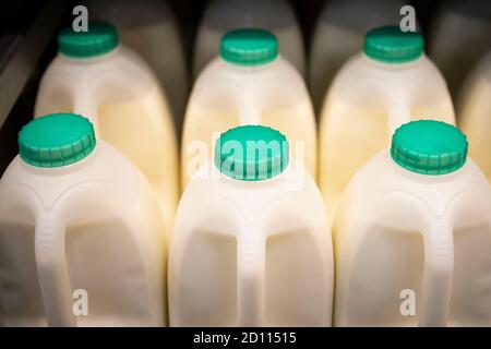 Vue de dessus en bas des bouteilles de lait avec couvercles verts dans un refroidisseur de supermarché à Cardiff, pays de Galles, Royaume-Uni. Banque D'Images