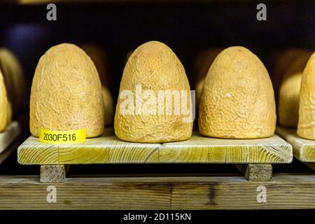 Zincarlin dans la cave.Trois âges sont stockés ici.Les cônes de fromage sont lavés presque tous les jours avec du vin blanc pendant deux mois.Production du traditionnel fromage Zinkalin dans la vallée de Muggio au Tessin, Circolo di Mendrisio, Suisse Banque D'Images