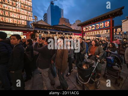 asakusa, japon - novembre 08 2019 : une femme fait la queue et porte son chien dans un chariot pour entrer dans le sanctuaire Ootori décoré la nuit avec un gant de papier lumineux Banque D'Images