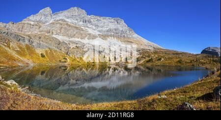 Image panoramique paysage haute résolution. Magnifique lac caché et couleurs d'automne dorées, région de Skoki, parc national Banff, montagnes Rocheuses canadiennes Banque D'Images