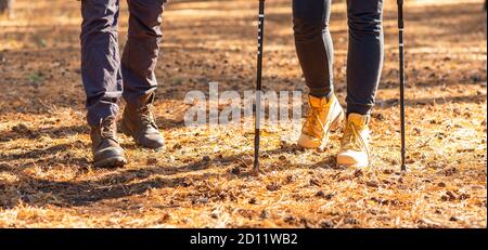 Récolte de deux randonneurs marchant ensemble en forêt Banque D'Images
