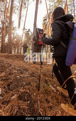 Trois randonneurs méconnaissables marchant vers le soleil, marchant dans la forêt Banque D'Images