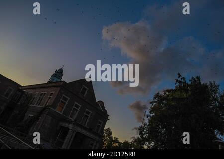 The Haunted Pennhurst School, également connue sous le nom de Pennhurst Asylum, en raison de ses conditions déplorables, de manque de personnel et de surpeuplement Banque D'Images