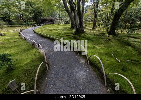 Hogon-in 'jardin de la roar du lion' a été créé par un prêtre zen dans la période Muromachi. Hogon-in est un sous-temple du temple Tenryu-ji et a été construit Banque D'Images