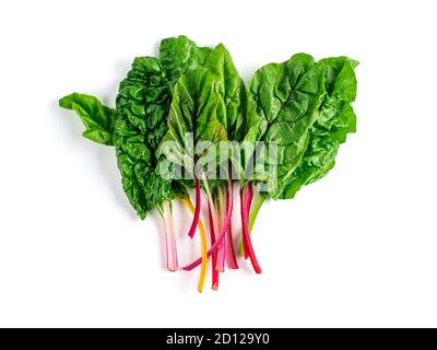 Botte de blettes leafves isolé sur fond blanc. Arc-en-ciel frais suisse chard avec le jaune, le rouge et le vert, vue de dessus ou de mise à plat Banque D'Images