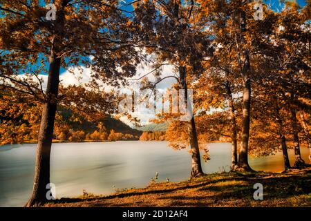 Couleurs d'automne dans le bois avec lac de Ghirla près de la ville de Varèse, exposition longue durée Banque D'Images