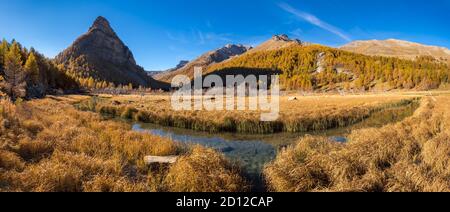 Lac des Sagnes en automne avec la Tour des Sagnes montagne en forme de pyramidale. Parc national du Mercantour, Vallée de l'Ubaye, Alpes de haute Provence. Banque D'Images