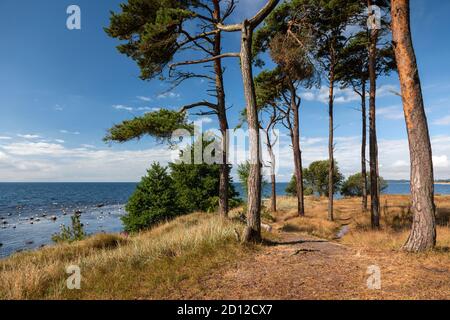 Géographie / Voyage, Suède, Scania, côte de la mer Baltique à l'ouest d'Ystad, droits-supplémentaires-dégagement-Info-non-disponible Banque D'Images