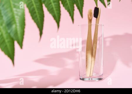 Brosses à dents en bambou en verre et ombres à feuilles sur fond rose Banque D'Images