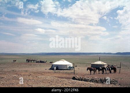 Yourtes d'une famille mongole nomade dans le désert de Gobi, région d'Ulziit, photo prise en 1977 Banque D'Images