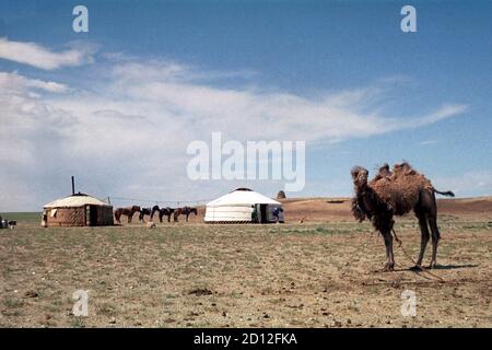 Yourtes d'une famille d'arates mongoles dans le désert de Gobi, photo prise en 1977 Banque D'Images