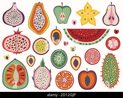 Tranches de fruits exotiques et tropicales et coupées Illustration de Vecteur