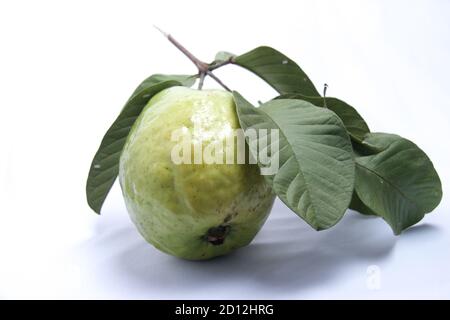 fond blanc isolé de goyave vert frais. Feuilles vertes et fruits de goyave mûrs de l'arbre. Concept de photo de nourriture saine Banque D'Images