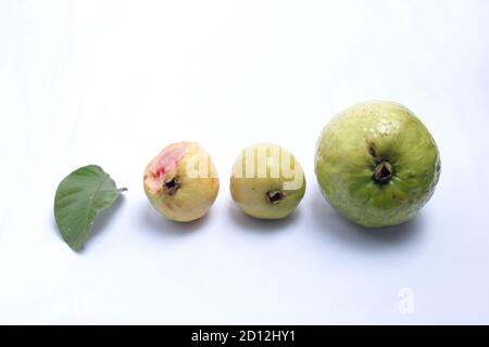 variations des fruits et des feuilles de goyave, de la goyave petite à la goyave grande, de la goyave mûre, brute et pourrie Banque D'Images