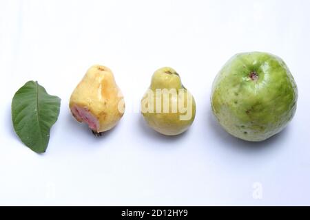 variations des fruits et des feuilles de goyave, de la goyave petite à la goyave grande, de la goyave mûre, brute et pourrie Banque D'Images