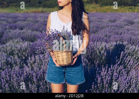 Jeune femme tenant un panier en osier avec des fleurs de lavande dans le champ Banque D'Images