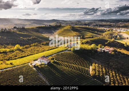 ITALIE, PIÉMONT, LANGHE: Soirée d'automne lumière du soleil sur les vignobles dans la région de Langhe, Piemonte, Italie Banque D'Images