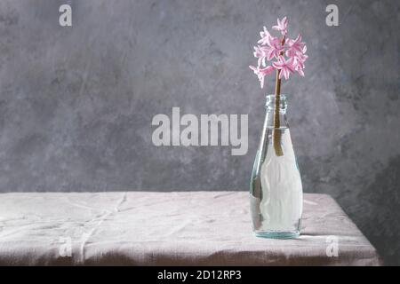 Fleurs de Printemps jacinthe rose en verre bleu bouteille debout sur table avec nappe en lin. Banque D'Images