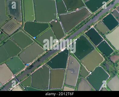 Hé. 5 octobre 2020. La photo aérienne prise le 5 octobre 2020 montre une vue sur les étangs de crevettes dans le comté de Hepu, dans la ville de Beihai, dans la région autonome de Guangxi Zhuang, au sud de la Chine. Credit: Zhou Hua/Xinhua/Alay Live News Banque D'Images