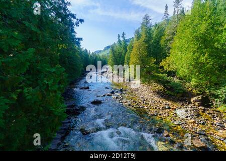 Vue de la rivière Sainte-Anne-du-Nord, dans le Parc National de la Gaspésie, Gaspésie, Québec, Canada Banque D'Images