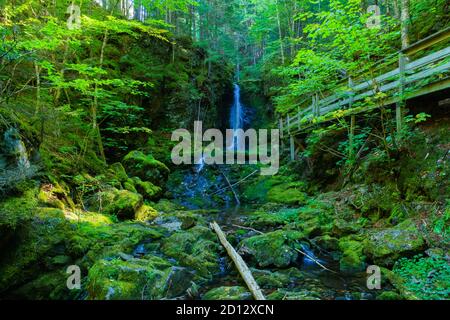 Vues le long du sentier des chutes Dickson, dans le parc national Fundy, Nouveau-Brunswick, Canada Banque D'Images