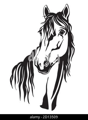 Magnifique portrait de ligne noir contour cheval Illustration de Vecteur