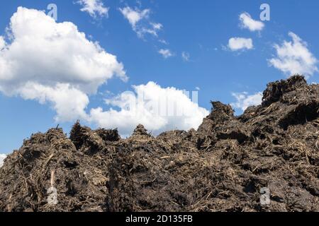 Fumier. Pile de dung dans la campagne. Ciel magnifique en arrière-plan. Banque D'Images