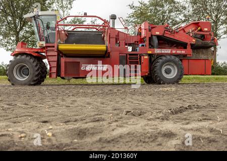 HOGE HEXEL, PAYS-BAS - 30 août 2020 : récolte de pommes de terre à angle bas avec le sol et les machines lourdes dans les terres agricoles prêtes à récolter la récolte. Agriculture au Banque D'Images