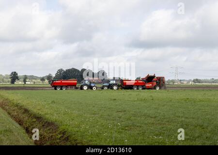 HOGE HEXEL, PAYS-BAS - 30 août 2020 : les agriculteurs récoltent des pommes de terre dans la campagne hollandaise avec des nuages spectaculaires au-dessus Banque D'Images