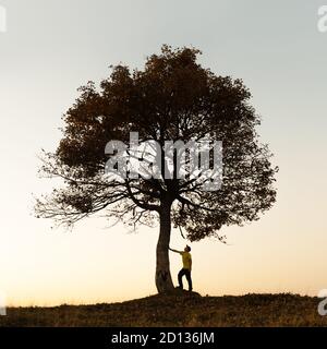 Silhouette d'en vertu de l'arbre majestueux au soir prés des montagnes au coucher du soleil. Scène colorée dramatique avec orange ciel clair. Photographie de paysage Banque D'Images