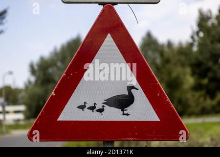 AADORP, PAYS-BAS - 07 septembre 2020 : un panneau d'avertissement en forme de triangle pour les canards et les canetons pourrait traverser la route avec un environnement naturel Banque D'Images