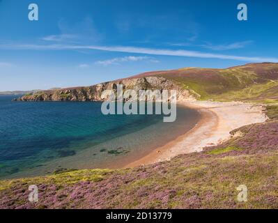 Avec la pointe de Burki Taing au loin, la plage de sable à Muckle Ayre sur la côte sud de Muckle Roe, Shetland, Écosse, Royaume-Uni Banque D'Images