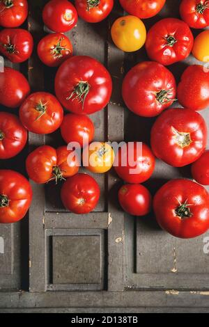 Variété de tomates fraîches mûres jardinage biologique différents types et couleurs avec de l'eau sur place old grey background. Mise à plat, de l'espace Banque D'Images