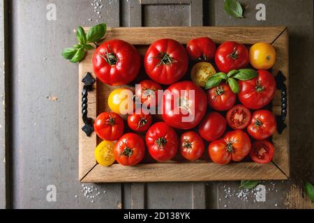 Variété de tomates fraîches mûres jardinage biologique différents types et couleurs spot avec de l'eau et les feuilles de basilic dans le bac en bois plus ancien en bois gris backgrou Banque D'Images