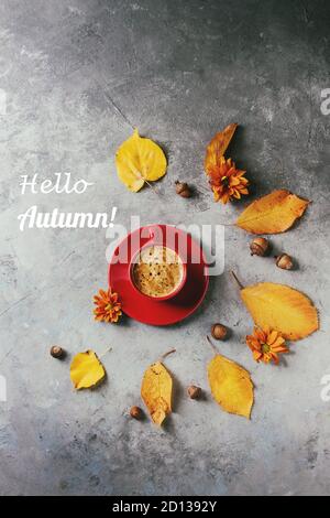 Tasse de café noir rouge avec mousse décorée par l'automne jaune feuilles, fleurs de l'aster et de glands sur fond texture gris. Mise à plat, de l'espace. Saison Banque D'Images