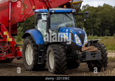 HOGE HEXEL, PAYS-BAS - 30 août 2020 : gros plan d'un tracteur bleu avec une grosse machine à râper les pommes de terre dans un sol agricole prêt à récolter la récolte. Agricult Banque D'Images