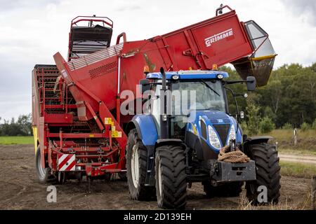 HOGE HEXEL, PAYS-BAS - 30 août 2020 : tracteur bleu avec machine à grabber de pommes de terre lourde dans les terres agricoles prêtes à récolter la récolte. Agriculture automne Banque D'Images