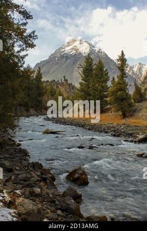 Naltar est une vallée près de Gilgit, Hunza et Nomal dans la région Gilgit–Baltistan du Pakistan. Naltar est à environ 54 kilomètres de Gilgit et peut être atteint Banque D'Images