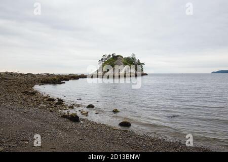 Petite île rocheuse couverte de feuillage dans le parc Whytecliff à West Vancouver, Canada Banque D'Images