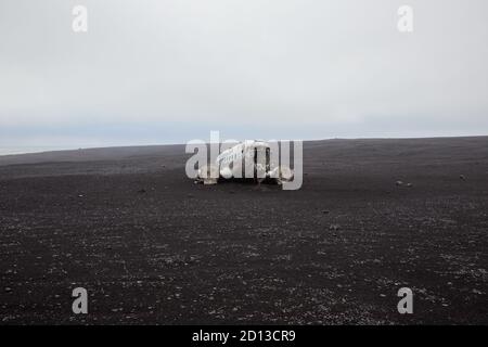 1973 US Navy C-117D Solheimasandur accident d'avion en Islande Banque D'Images