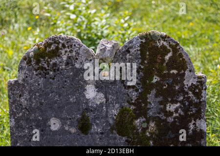 Très vieux cimetière juif abandonné près du village de Trstin, Slovaquie Banque D'Images