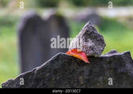 Très vieux cimetière juif abandonné près du village de Trstin, Slovaquie Banque D'Images