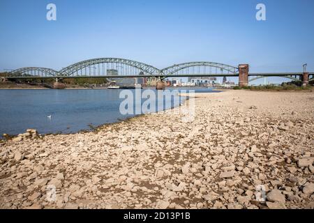 Bas niveau du Rhin, 18 septembre 2020, rives du Rhin à Cologne-Poll, Suedbruecke (pont sud), vue sur la cathédrale, Colo Banque D'Images