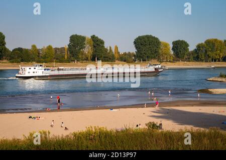 Sur les rives du Rhin à Langel, district de Merkenich, populaire les jours d'été, Cologne, Rhénanie-du-Nord-Westphalie, Allemagne. Am Rheinufer à Langel, S Banque D'Images