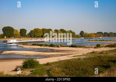 Sur les rives du Rhin à Langel, district de Merkenich, populaire les jours d'été, Cologne, Rhénanie-du-Nord-Westphalie, Allemagne. Am Rheinufer à Langel, S Banque D'Images